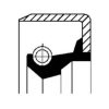 ALFA 105641733200 Shaft Seal, differential